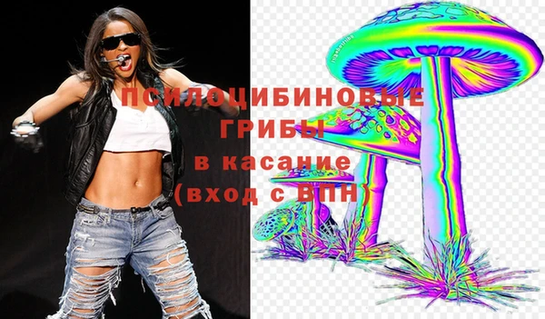 бошки Артём