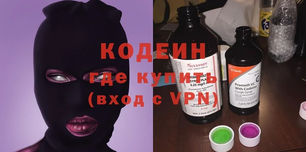 прущие грибы Ачинск