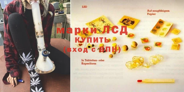 мдпв Бердск