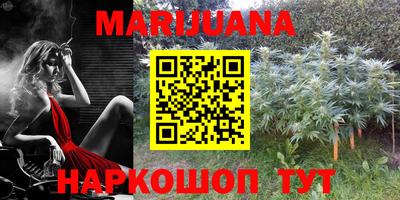 бошки Ставрополь