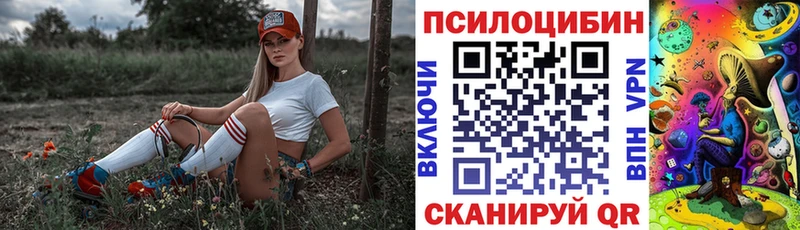 mega сайт  Черемхово  Галлюциногенные грибы прущие грибы  купить наркотик 