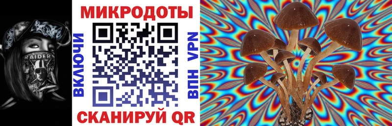 Псилоцибиновые грибы Psilocybine cubensis Черемхово