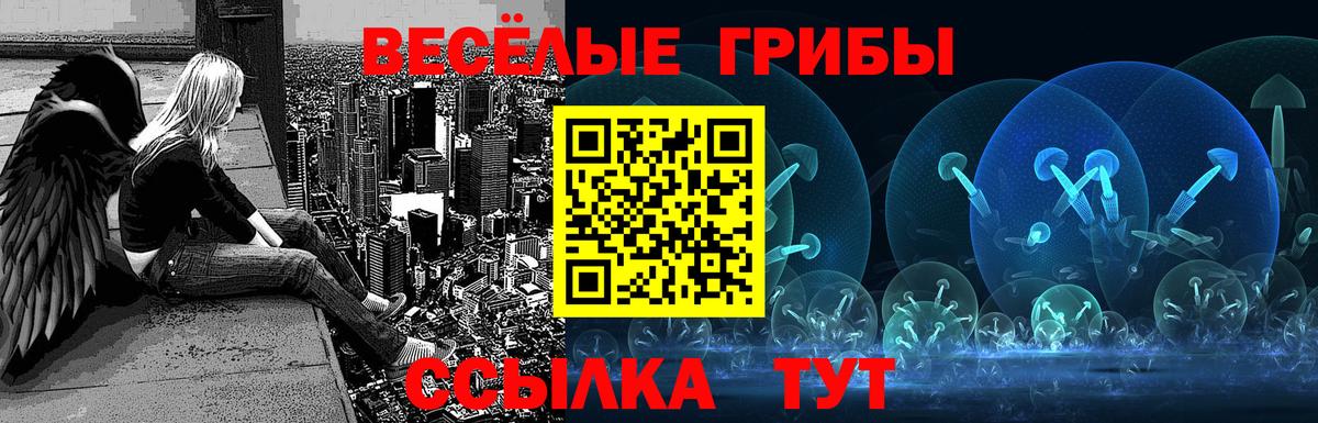 Черемхово  Галлюциногенные грибы Magic Shrooms  Вход с VPN 